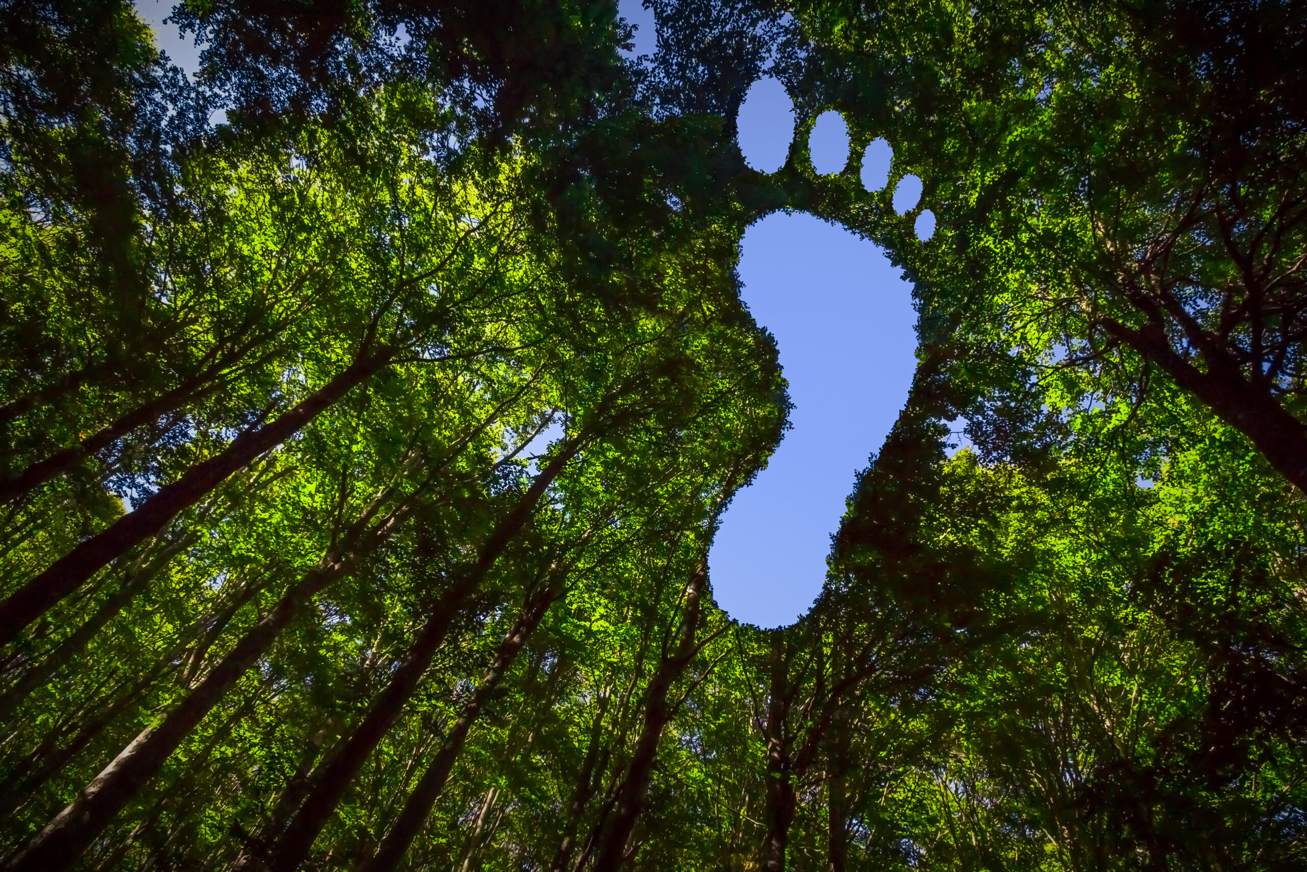 Practical Ways To Reduce Your Companies Carbon Footprint